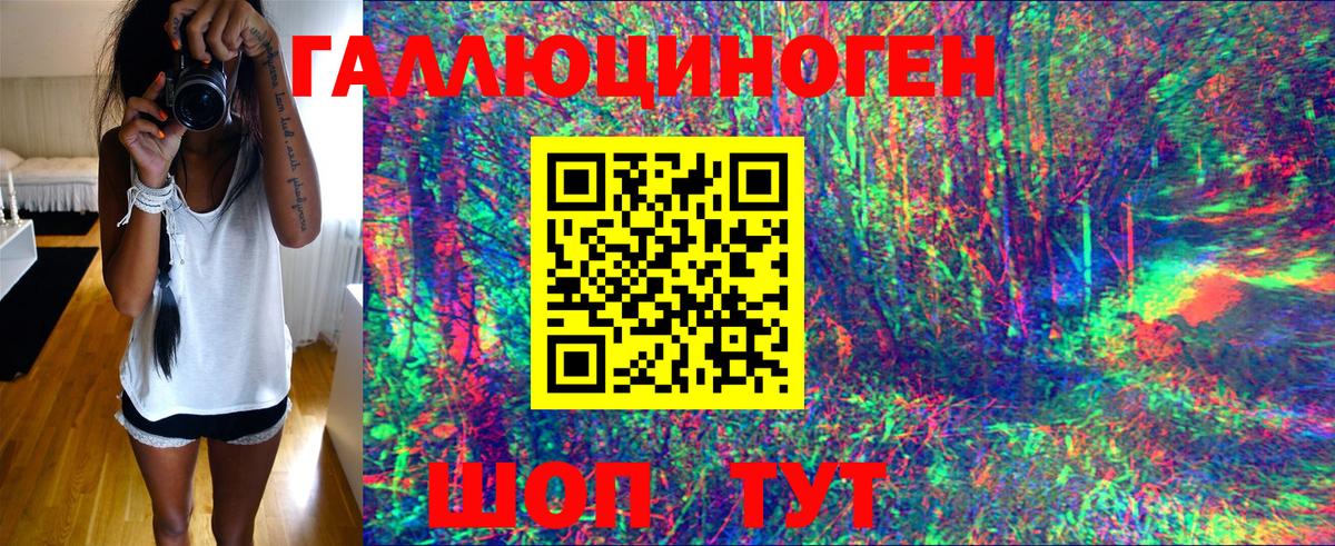 Галлюциногенные грибы Psilocybine cubensis Волжский