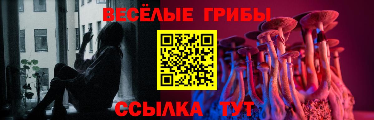 Волжский  Галлюциногенные грибы Psilocybine cubensis  Вход с VPN 